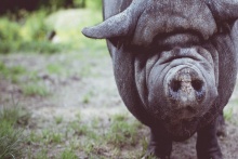 張訓(xùn)照：像愛護(hù)生命一樣愛護(hù)產(chǎn)品品質(zhì) 