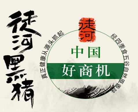 全國連鎖加盟好項(xiàng)目